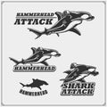The emblems with hammerhead shark for a sport team.