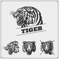 The emblems with tiger for a sport team. Royalty Free Stock Photo