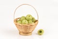 Emblic Myrabolan, Malacca Tree, Indian Gooseberry (PHYLLANTHUS EMBLICA LINN.), Fruit. Royalty Free Stock Photo