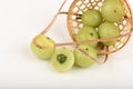 Emblic Myrabolan, Malacca Tree, Indian Gooseberry (PHYLLANTHUS EMBLICA LINN.), Fruit. Royalty Free Stock Photo