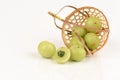 Emblic Myrabolan, Malacca Tree, Indian Gooseberry (PHYLLANTHUS EMBLICA LINN.) Royalty Free Stock Photo