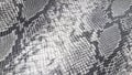 Embossed faux leather texture with python and snake print. Gray, snake print, background. Royalty Free Stock Photo