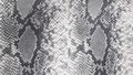 Embossed faux leather texture with python and snake print. Gray, snake print, background. Royalty Free Stock Photo