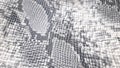 Embossed faux leather texture with python and snake print. Gray, snake print, background. Royalty Free Stock Photo