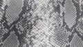Embossed faux leather texture with python and snake print. Gray, snake print, background. Royalty Free Stock Photo