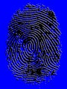 Embossed Vector Fingerprint