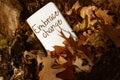 Embrace Change Words Written on Card in Autumn Leaves