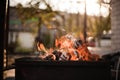 Autumn Ember Feast: Fire Grill in the Backyard