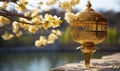 Embrace the enchantment of spring with the golden lamp Ormal, casting a warm and magical glow Royalty Free Stock Photo