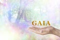 Embrace the GAIA Philosophy