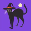 Explore the Intriguing World of Black Cats in Witch Hats