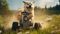 Canine Lawn Care Maestro: Talented Dog Expertly Maneuvering Mini Lawn Mower