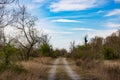 spring landscape dirt road in the forest against the blue sky with clouds Royalty Free Stock Photo