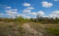 spring landscape dirt road in the forest against the blue sky with clouds Royalty Free Stock Photo