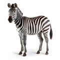 Zebra standing isolated on white background. 3D illustration, Royalty Free Stock Photo