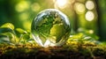 Glass globe with green grass and bokeh background. Ecology concept Royalty Free Stock Photo