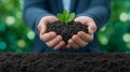 Embracing regenerative agriculture involves techniques for sustainable growth and soil health Royalty Free Stock Photo