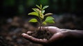 Embracing Sustainable Growth. Planting Seeds for Environmental Nurturing and Eco-Awareness