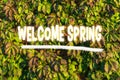 Embracing the Vibrant Arrival of Spring Season With Energetic Green Foliage Royalty Free Stock Photo