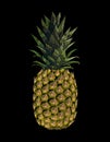 Embroidered yellow pineapple fruit. Fashion print embroidery texture