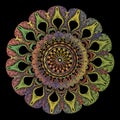 Embroidery arabesque mandala pattern. Vector colorful tapestry floral round Paisley ornament. Grunge texture. Embroidered flowers