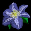 Embroidery blue flower angle pattern. Vector traditional folk blue clematis on black background for clothing design