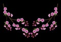 Embroidery branch of pink cherry blossoms on a black background