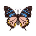 Embroidery butterfly design for clothing. insect vector