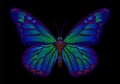 Embroidery butterfly design for clothing. insect vector decoration.