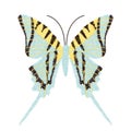 Embroidery butterfly design for clothing. insect vector