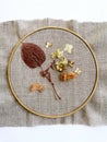 Embroidery on Canvas and hoop, needlework from dry hydrangea flowers and leaves, handmade steps