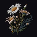 Embroidery chamomile flowers. Black vector floral background illustration with colorful tapestry chamomile flowers, leaves.