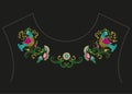 Embroidery colorful ethnic neck line floral pattern.