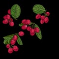 Embroidery. Embroidered design elements with tropical plant