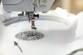 embroidery with embroidery machine - dandilon on white leatherette