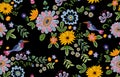Embroidery ethnic seamless pattern with birds and flowers.