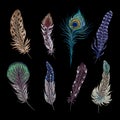 Embroidery feathers. Birds feather ethnic design, boho style patches. Hand stitch tribal elements, peacock wings Royalty Free Stock Photo