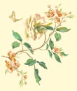 Embroidery floral pattern with peony and swallowtail.