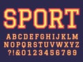 Embroidery font. Sewing alphabet letters, college football team embroidered patch lettering and embroidery letter vector symbols