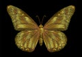 Embroidery gold butterflies on a black background. Royalty Free Stock Photo