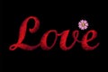 Embroidery lettering word Love. Red stiches field daisy Valentine Day