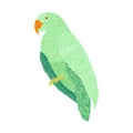 Embroidery parrot design for clothing. bird vector decoration Royalty Free Stock Photo