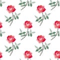 Embroidery seamless pattern with beautiful red roses on white background. Fashion print with flowers. Royalty Free Stock Photo