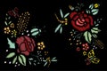 Embroidery Stitches With Roses, Meadow Flowers, Dragonflies Royalty Free Stock Photo