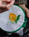 Embroidery in woman hands, female doing flower pattern embroidery on grandma natural clothes