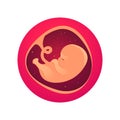 Embryo, the first month of pregnancy.