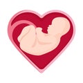 Embryo in heart shape inside human vector illustration unborn person