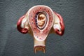 Embryo model, fetus for classroom education.