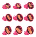 Embryo month stage growth, fetal development vector flat infographic icons. Medical illustration of foetus cycle Royalty Free Stock Photo