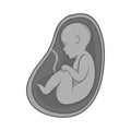 Embryo in stomach icon, black monochrome style